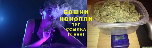 ГАЛЛЮЦИНОГЕННЫЕ ГРИБЫ Наволоки