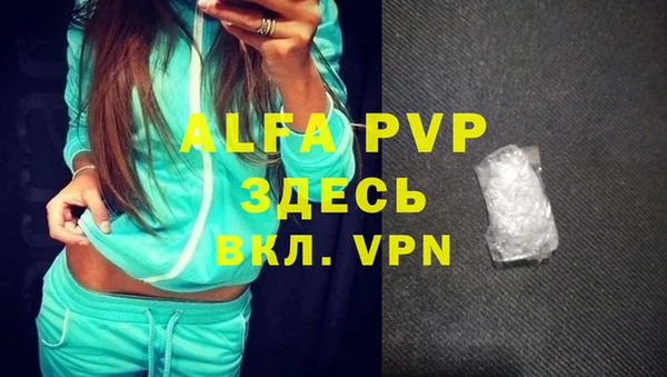 spice Надым