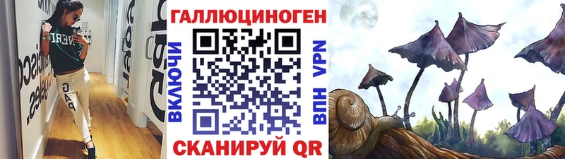 hydra вход  Шлиссельбург  Галлюциногенные грибы Cubensis 